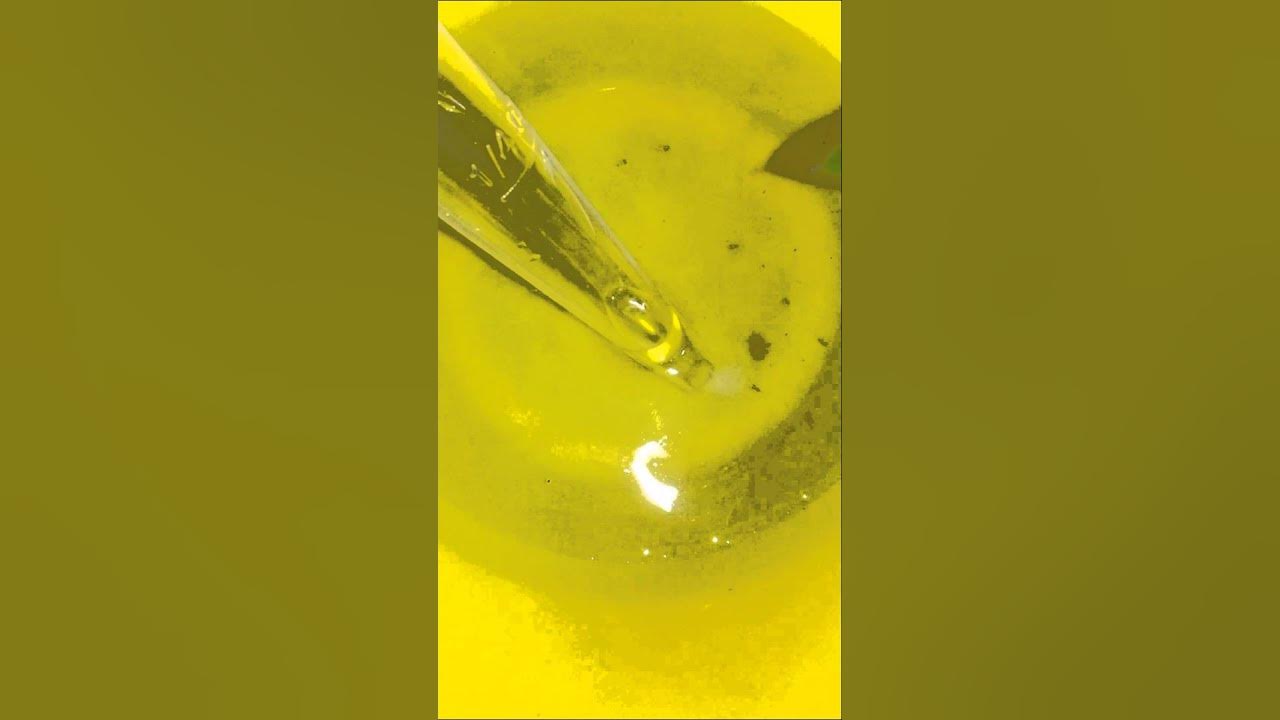 Artificial Raising Discus Fry Feeding Food Egg Yolk Paste. YouTube