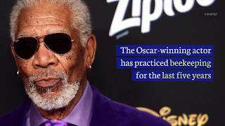 Morgan Freeman Converts Private Ranch Into Bee Sanctuary