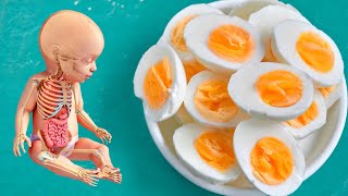 هذا ما يحدث للجنين فى بطن أمه عند أكل البيض المسلوق أثناء الحمل !