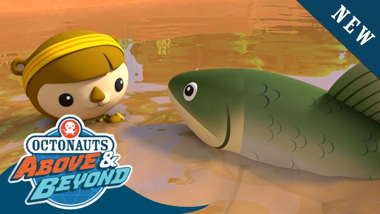 Octonauts: Above & Beyond - Luring out a Giant Carp Fish 🐠🎣, Season 2