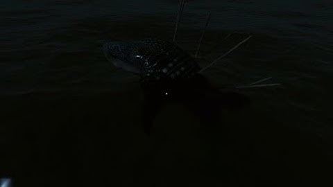 Whale Shark Spliff | Stranded Deep #27