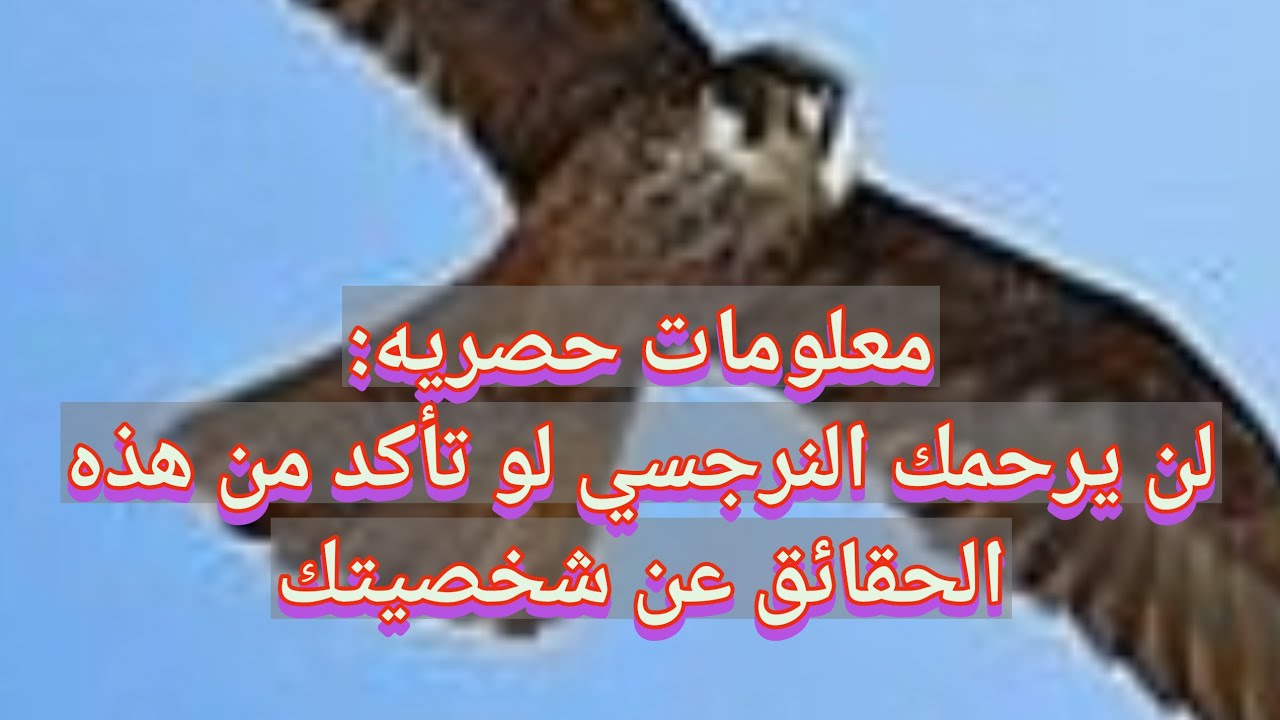 اسرار جديده | متي و كيف يدمر النرجسيين الضحايا بلا رحمه بعد التأكد من حقيقه الضحيه #حصريا#النرجسيين