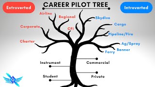 🛩️The Career Pilot Tree Path! - Choose Wisely!
