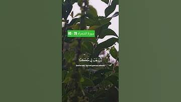 Surah Ash-shuara'a in English #quran #surah #islam  #سورة_الشعراء #اسلام_صبحي