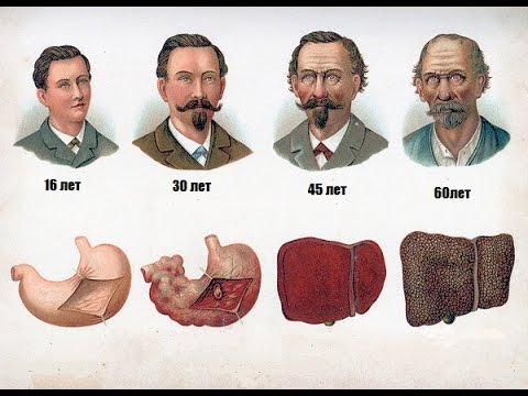 Легко бросить пить аллен карр скачать бесплатно