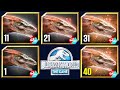 PYRORAPTOR DOMINION MAX LEVEL 40 FEEDING JURASSIC 