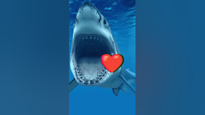 na minha opinião de como seria a música tubarão te amo #shorts #falcao #tiktok #tubarão