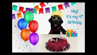 My Dog's EPIC Birthday Party!!
