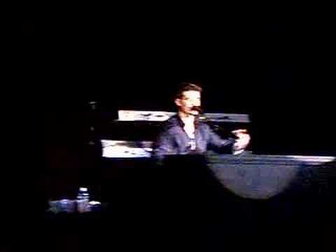 THE STUPID THINGS ROBIN THICKE 