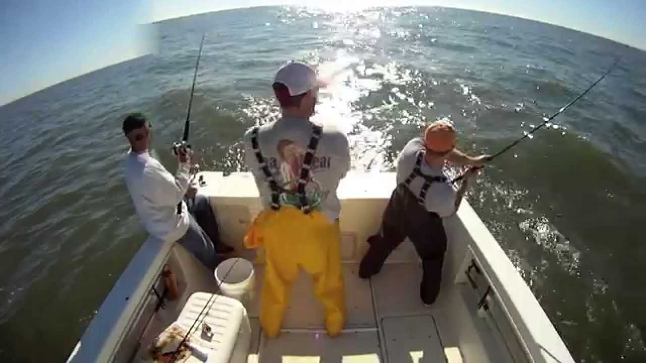 Striped Bass Fishing Delaware Bay (View in HD) Music by GunsNRoses YouTube