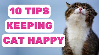 The best tips for keeping your cat happy from the basics to tricks you didn't know by Pet in the Net 959 views 9 months ago 4 minutes, 31 seconds