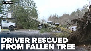 KOMO News photographer helps rescue truck driver trapped by fallen tree during windstorm