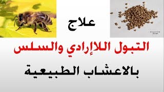 علاج التبول اللاارادي عند الكبار- الطب البديل - الصحة