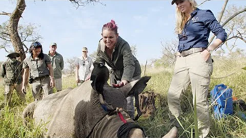Rhino dehorning expedition with Keri Miller
