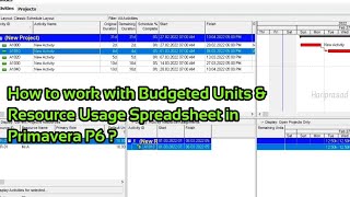 How To Work With Budgeted Units & Resource Usage Spreadsheet In Primavera P6 ?