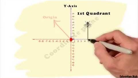 Coordinate System (Chapter 2 Physics Part 1)