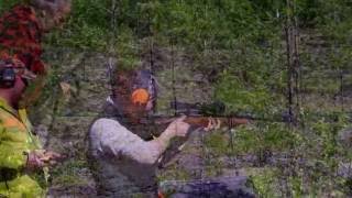 Björnskytte I Grusn 4 Juni 2016