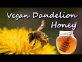 Vegan Dandelion Honey Recipe- Forage and Make Your Own