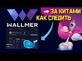 Как следить за китами криптовалют и копировать сделки инсайдеров - Wallmer - Всё в одном месте.