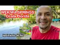 Rio Wekiwa Springs 💦 Ocala Florida 💦 🌴 Tour En Español 🌴 Que hacer en Orlando 🇺🇸🦩🌸🌺🌻🦩🇺🇸