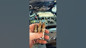 Spark plugs should be torqued…at least tighten them!