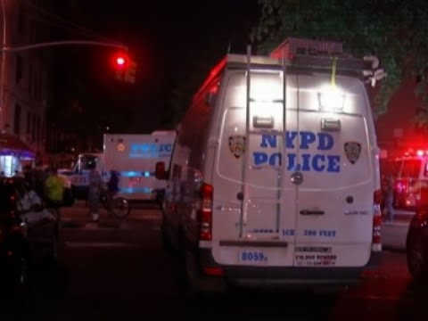 Miosotis Familia, NYPD officer killed in police vehicle, was mother of three ...