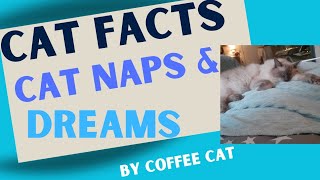 CAT FACTS  CAT NAPS & DREAMS  BY COFFEE CAT