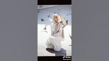 قصيدة بعنوان حجاب بتول علان 