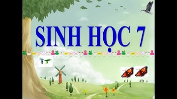 Sinh học 7 bài 49 đa dạng của lớp thú (tiếp theo). bộ dơi và bộ cá voi: CHỦ ĐỀ ĐA DẠNG CỦA LỚP THÚ