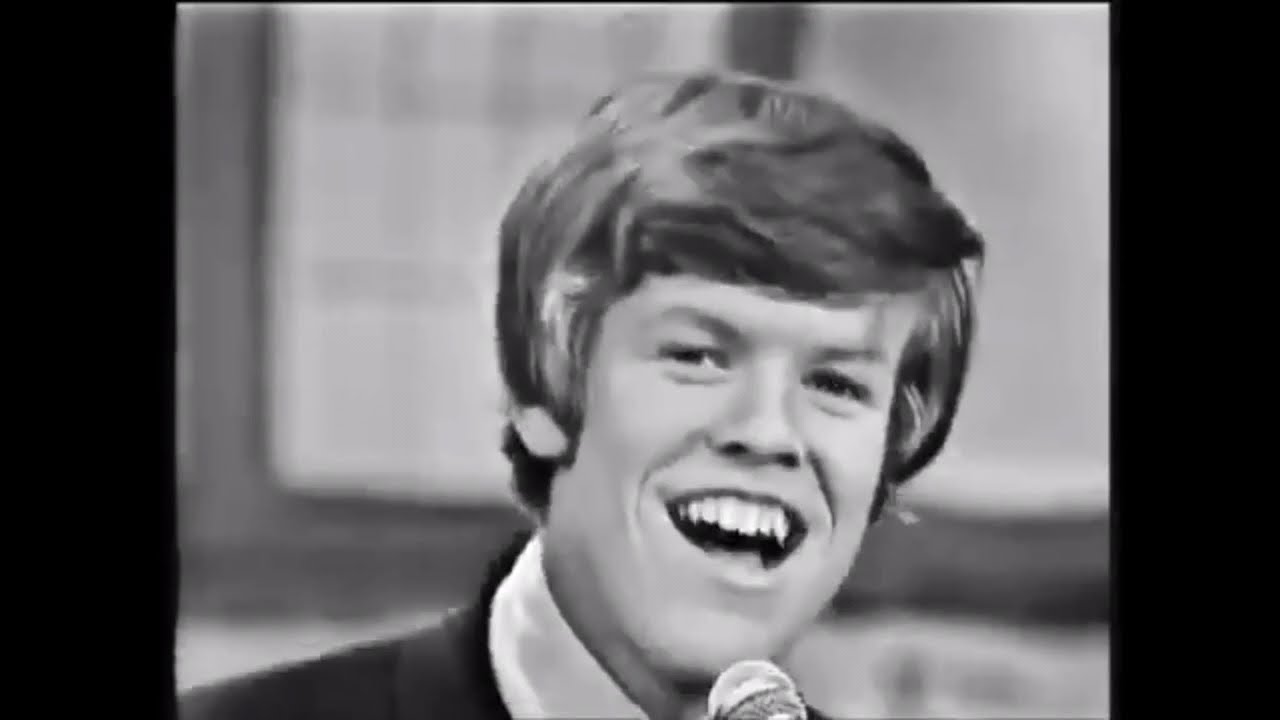 “Mrs. Brown, You’ve Got a Lovely Daughter” Herman’s Hermits- Lyrics