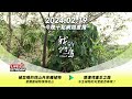 直播放映室【今晚十點 🔴LIVE】2024.02.19 公視我們的島播出