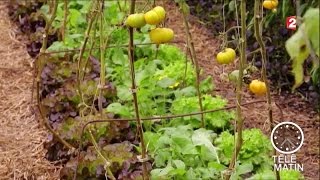 Environs - Permaculture : une agriculture réfléchie