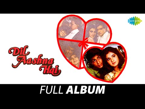 Dil Aashna Hai Shah Rukh Khan Divya B Hema Malini Kavita Krishnamurthy Sadhana S Full Album