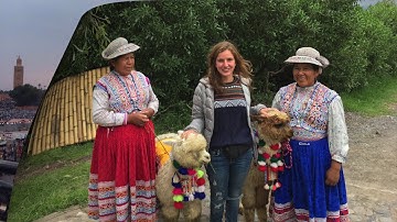 IE Application (Question I) - Carolina Moura Martins