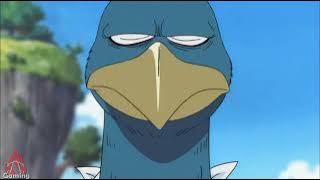 East Blue Funny Moments 5 | One Piece