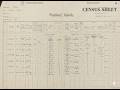 Census sheets for Slovak Citizenship by descent /CBD/