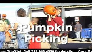 Pantaleo Farms 'The Great Pumpkin Patch'