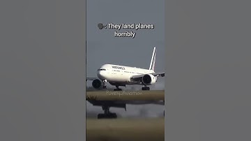 🗣: "Pilots Are Useless!" ~ Can Autopilot Do This? 😏🤯 #aviation #pilots #autopilot #shorts