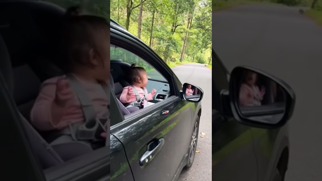 Monkey Steals Baby’s Lollipop – Funniest Moment Ever! 🐒😂      .