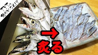 太刀魚の炙り刺身 第12回料亭てっちゃん タチウオ 捌き方 Youtube 太刀魚の炙り刺身 第12回料亭てっちゃん タチウオ 捌き方 Youtube