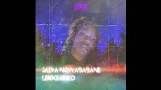 Lekkerfied - Jaiva ngwababane