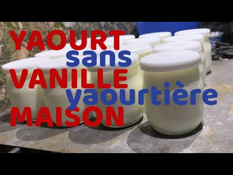 Yaourt à boire à la vanille sans yaourtière - la cerise sur le maillot