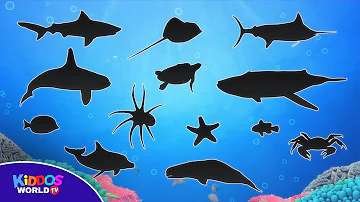 Learn Sea Animal Names - Ocean Animal Videos - Sea Animal Puzzle for Kids