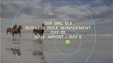 05 - SAP GRC 12 - BRM - ROLE IMPORT - CONTD.