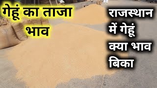 Latest Wheat Prices | What is the price of wheat sold in Rajasthan? | Prices of all the markets o... screenshot 5