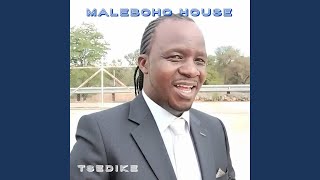 Mosadi Wa Diroko