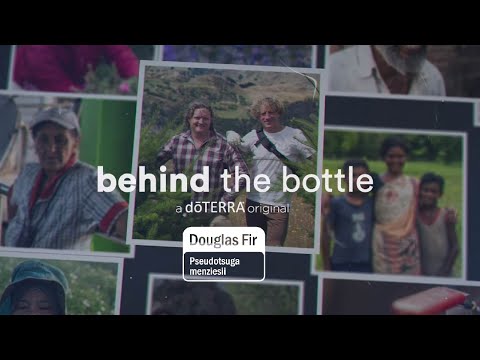 Douglas Fir Essential Oil | doTERRA Behind the Bottle: Episode 4