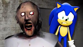 Sonic Plays GRANNY