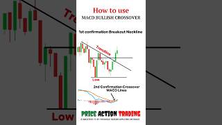 Uses Of Macd Indicatormacd Bullish Crossover Price Action 