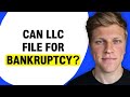 Can An LLC File For Chapter 7 Bankruptcy Can An LLC File For Chapter 7 Bankruptcy